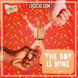 James Mac & Vall feat. Rosalie - The Boy Is Mine Logic Pro Remake (House)