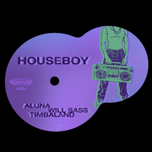 Aluna, Will Sass, Timbaland - Houseboy Logic Pro Remake (House)