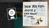 ANOTR, Erik Bandt - How You Feel feat. Leven Kali Logic Pro Remake (Deep House)