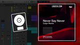 Armin van Buuren feat. Jacqueline Govaert - Never Say Never (Colyn Remix) Logic Pro Remake (Melodic House)