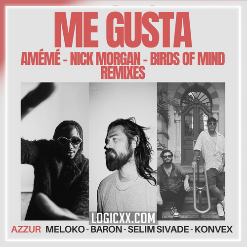 Azzur - Me Gusta (Bird of Mind Remix) (Logic Pro Remake)