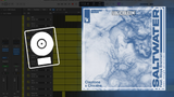 Claptone, Chicane feat. Moya Brennan - Saltwater (Logic Pro Remake)