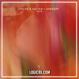 Colyn feat. Sultan & Shepard - 1973 Logic Pro Remake (Melodic House)