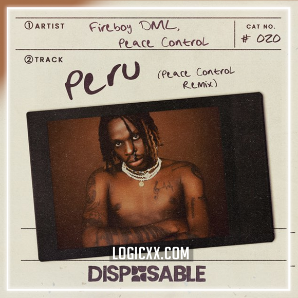 Fireboy DML - Peru (Peace Control Remix) Logic Pro Remake (Afro House)
