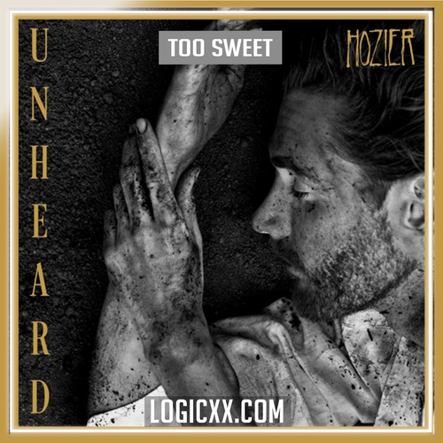 Hozier - Too Sweet Logic Pro Remake (Pop)