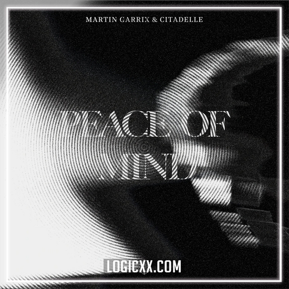 Martin Garrix & Citadelle - Peace Of Mind Logic Pro Remake (Dance Pop)