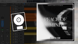 Martin Garrix & Citadelle - Peace Of Mind Logic Pro Remake (Dance Pop)