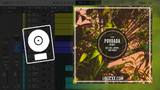 Maz (BR), Antdot, Sued Nunes - Povoada Remix Logic Pro Remake (Organic House)