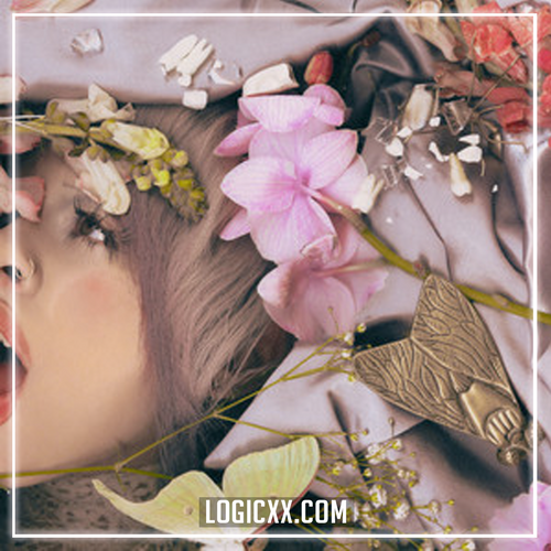 Melanie Martinez - Possesion (Logic Pro Remake)