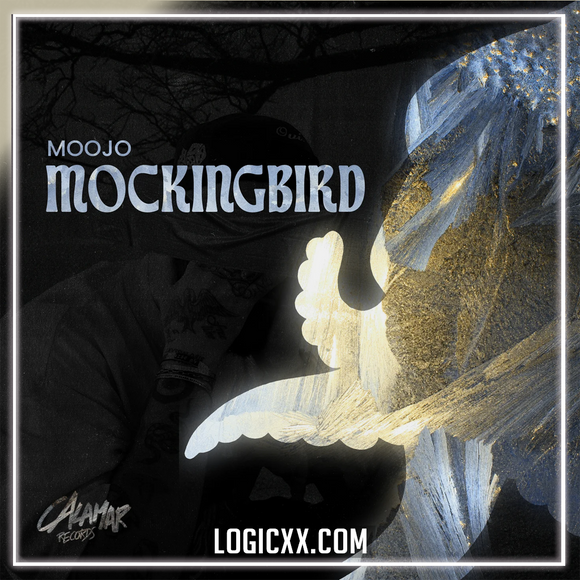 Moojo - Mockingbird Logic Pro Remake (Afro House)