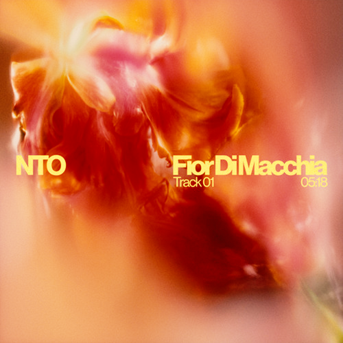 NTO - Fior Di Macchia Logic Pro Remake (Melodic House)