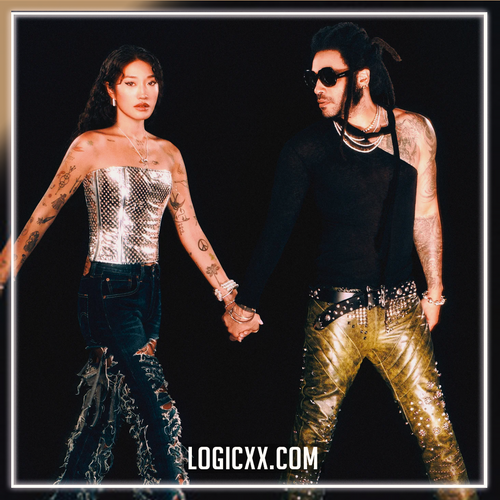 Peggy Gou, Lenny Kravitz - I Believe In Love Again Logic Pro Remake (Dance)
