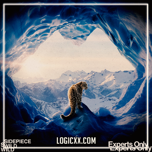 SIDEPIECE - Wild (Logic Pro Remake)