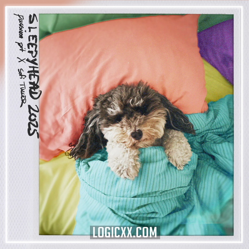 Sofi Tukker & Passion Pit - Sleepyhead 2025 Logic Pro Remake (Dance Pop)