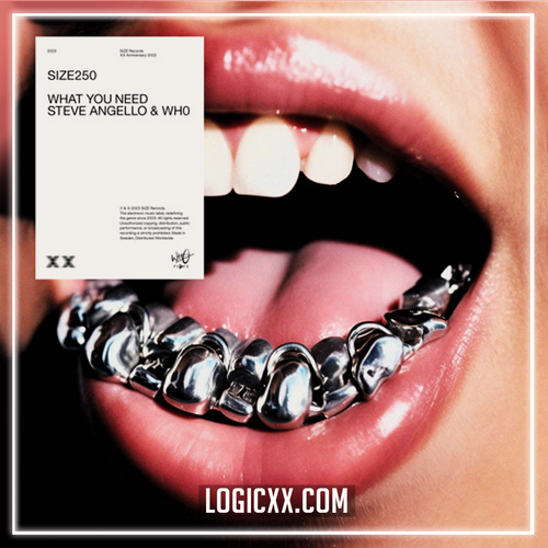 Steve Angello, WhO - What You Need Logic Pro Remake (House)