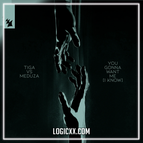 Tiga vs. MEDUZA - You Gonna Want Me (I Know) (Logic Pro Remake)