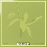 Tripolism & Nandu - Sunrise Logic Pro Remake (Melodic House)