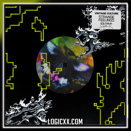 Vintage Culture - Strange Feelings (Solomun Remix) Logic Pro Remake (Dance)