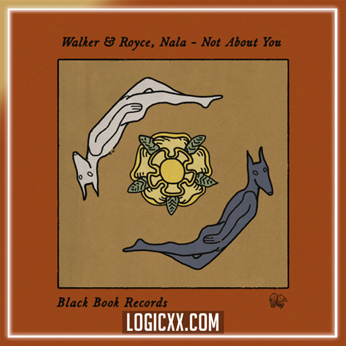 Walker & Royce, Nala - Not About You Logic Pro Remake (House)