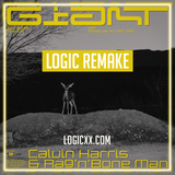 Calvin Harris & Rag'n'Bone Man - Giant Logic Pro Remake (Dance Template)