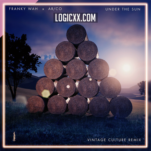 Franky Wah x ARCO - Under The Sun (Vintage Culture Remix) Logic Pro Remake (House)