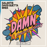 Galantis & David Guetta - Damn (You've Got Me Saying) Logic Pro Remake (Piano House)