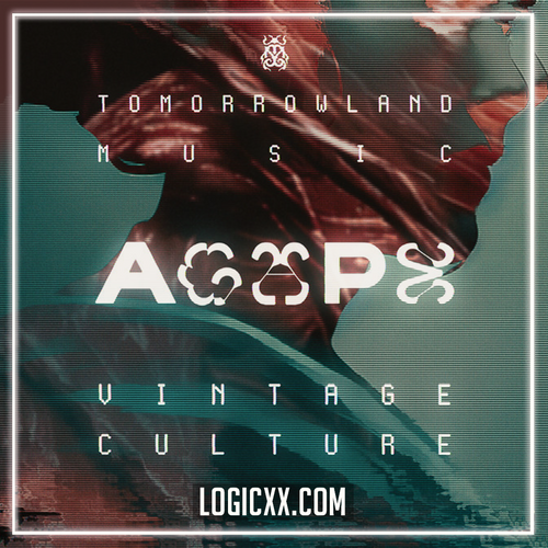 Vintage Culture - Agape Logic Pro Remake (Techno)